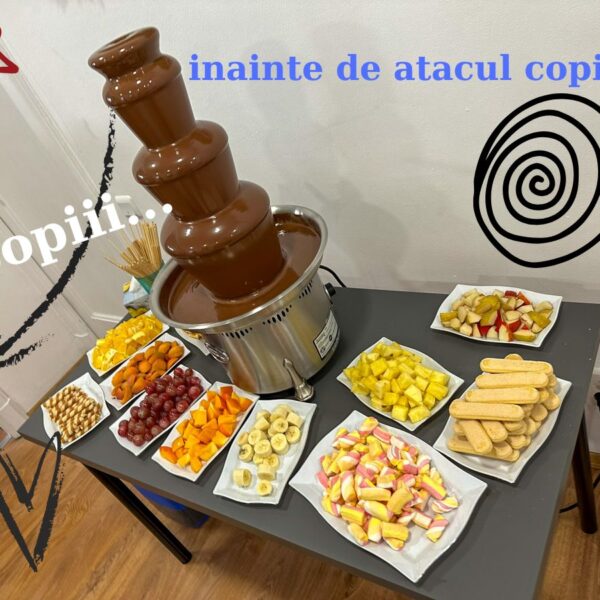 aniversare in sufragerie (4)