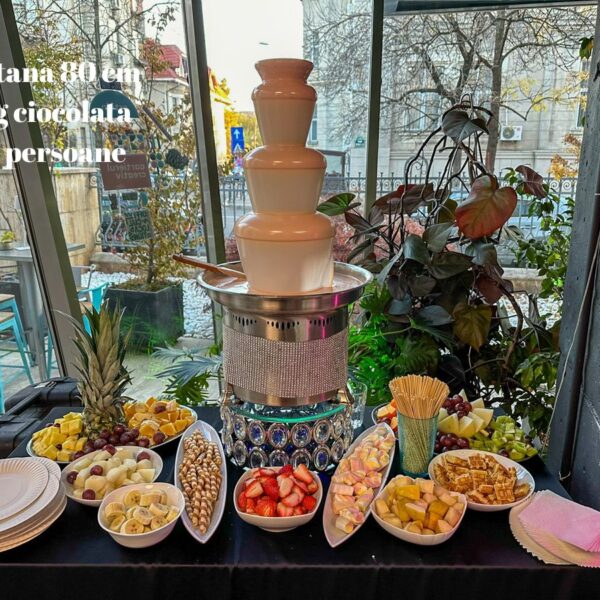 fantana ciocolata pret 13